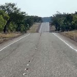 Day 43 Tanami Tootle 54km